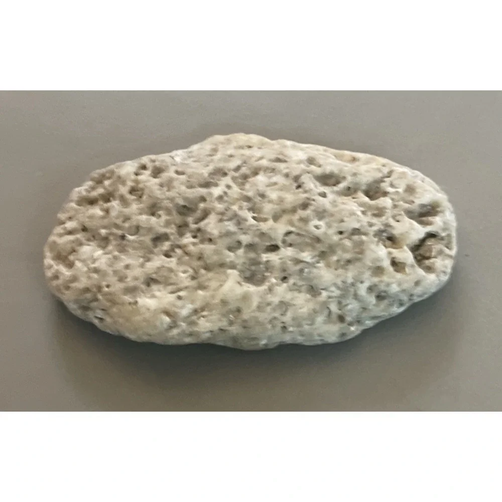 Fossilized Coral Natural Surf Tumbled 5.5
